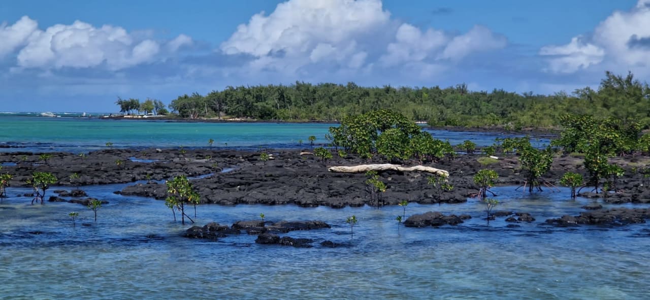 Strand Lagoon Attitude - Adults only