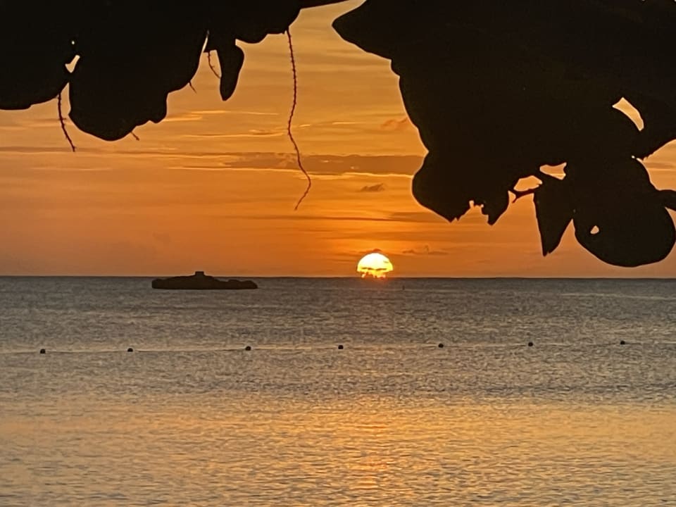 Ausblick Hotel Riu Negril