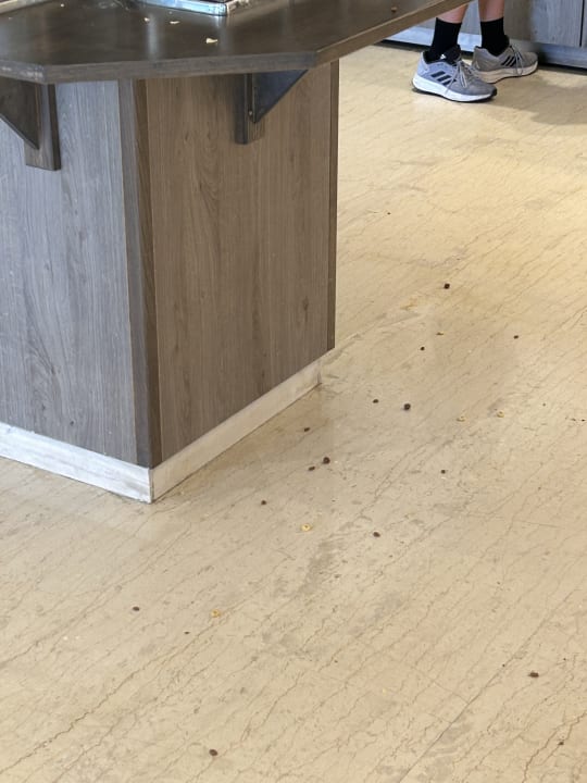 Gastro TUI KIDS CLUB Alex Beach