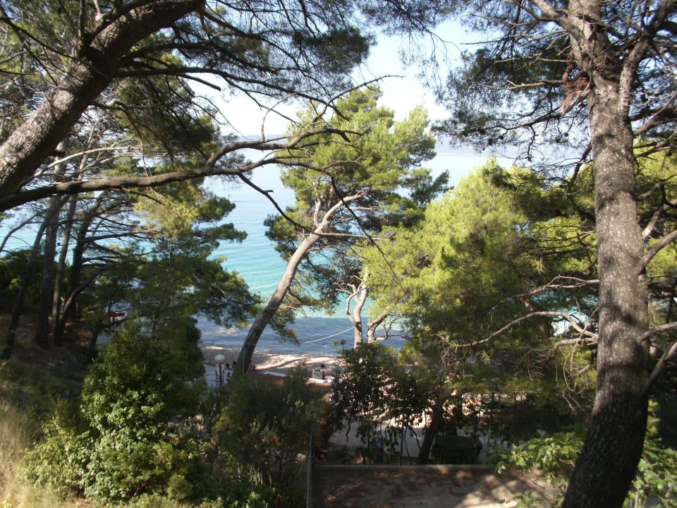 Ausblick vom Balkon Richtung Meer Bluesun Hotel Soline