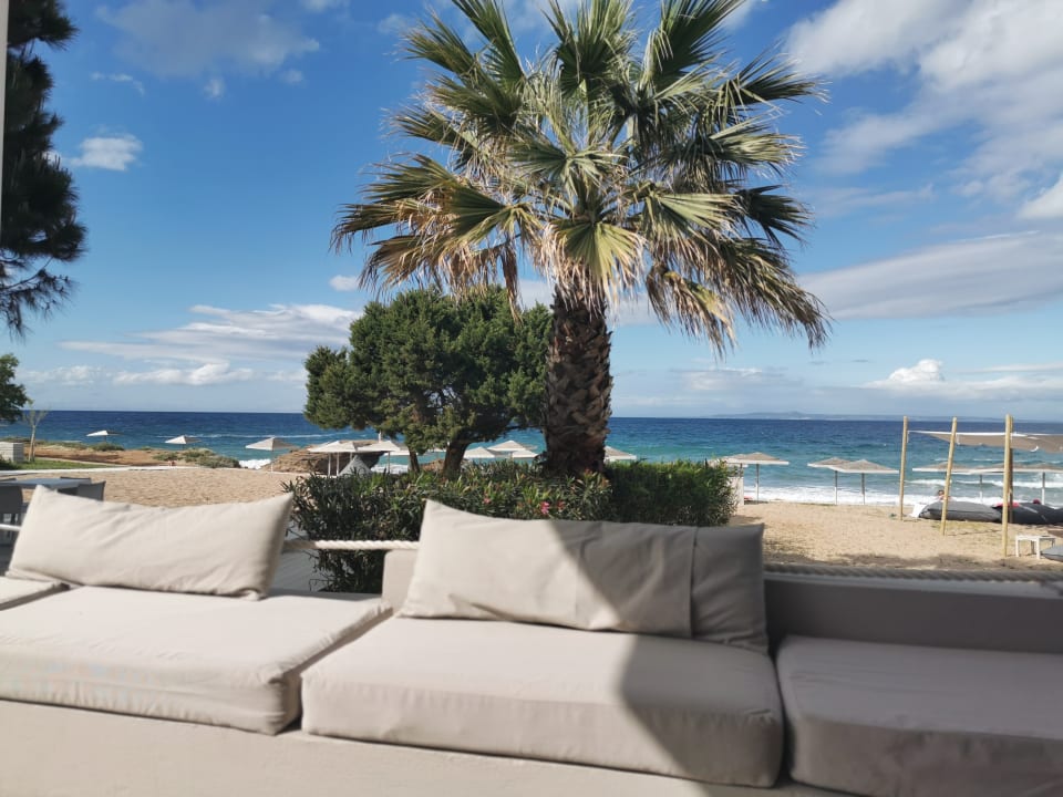 Gartenanlage The Bay Hotel & Suites