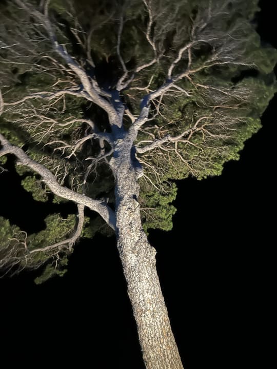 Gartenanlage Rixos Premium Belek