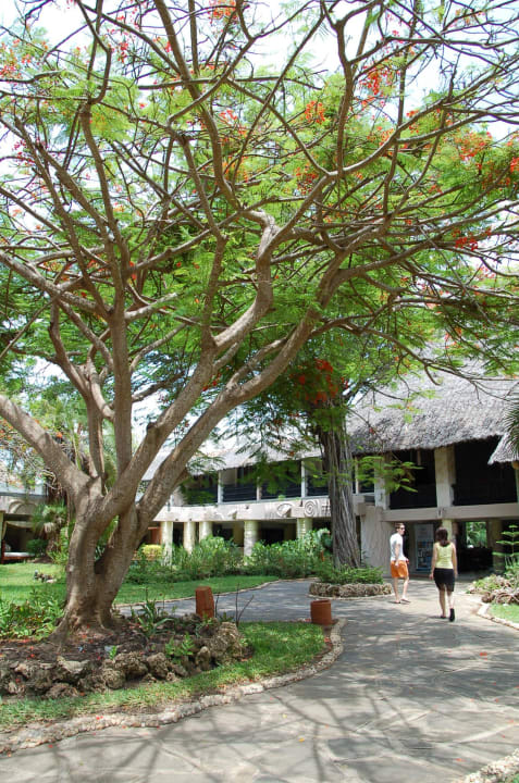Blick auf die Lobby vom Garten aus Baobab Beach Resort & Spa