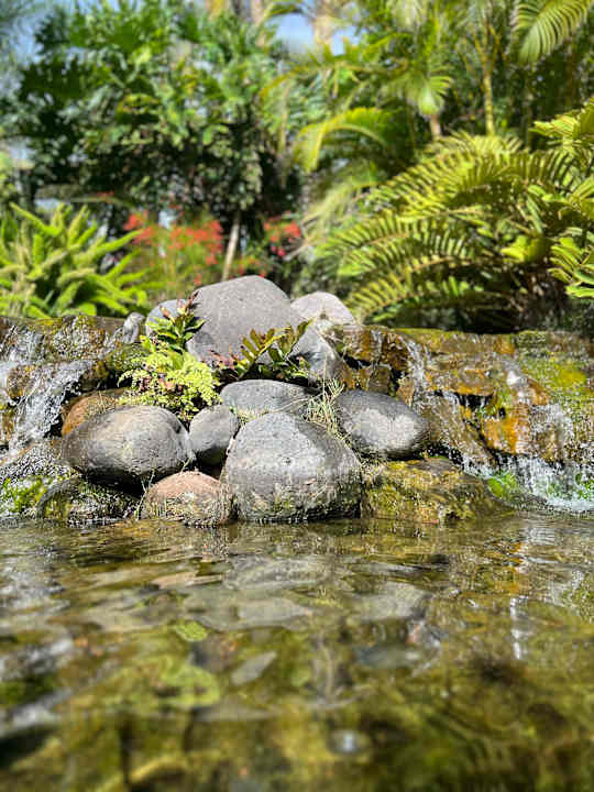 Gartenanlage allsun Hotel Lucana