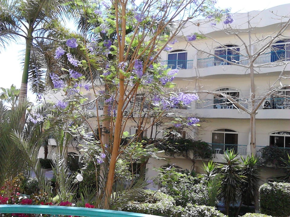 Ausblick vom Zimmer im Nordtrakt = Südbalkon Bella Vista Resort Hurghada