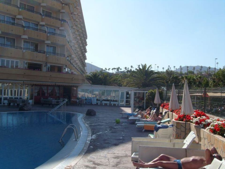 Basen i hotel Ole Tropical Tenerife