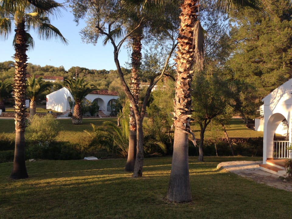 Blick in die Anlage Iberostar Waves Cala Domingos