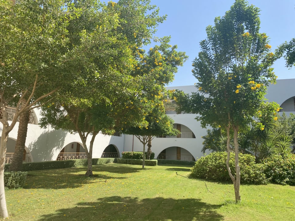 Gartenanlage Desert Rose