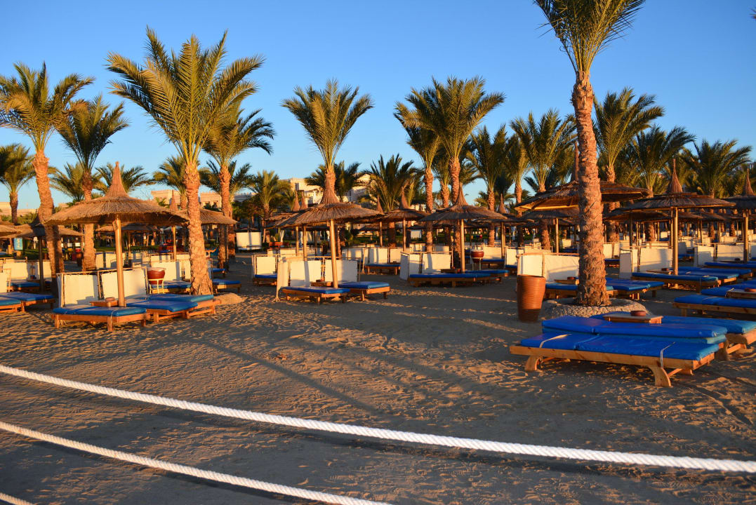 Strand früh am Morgen Pickalbatros Palace Resort