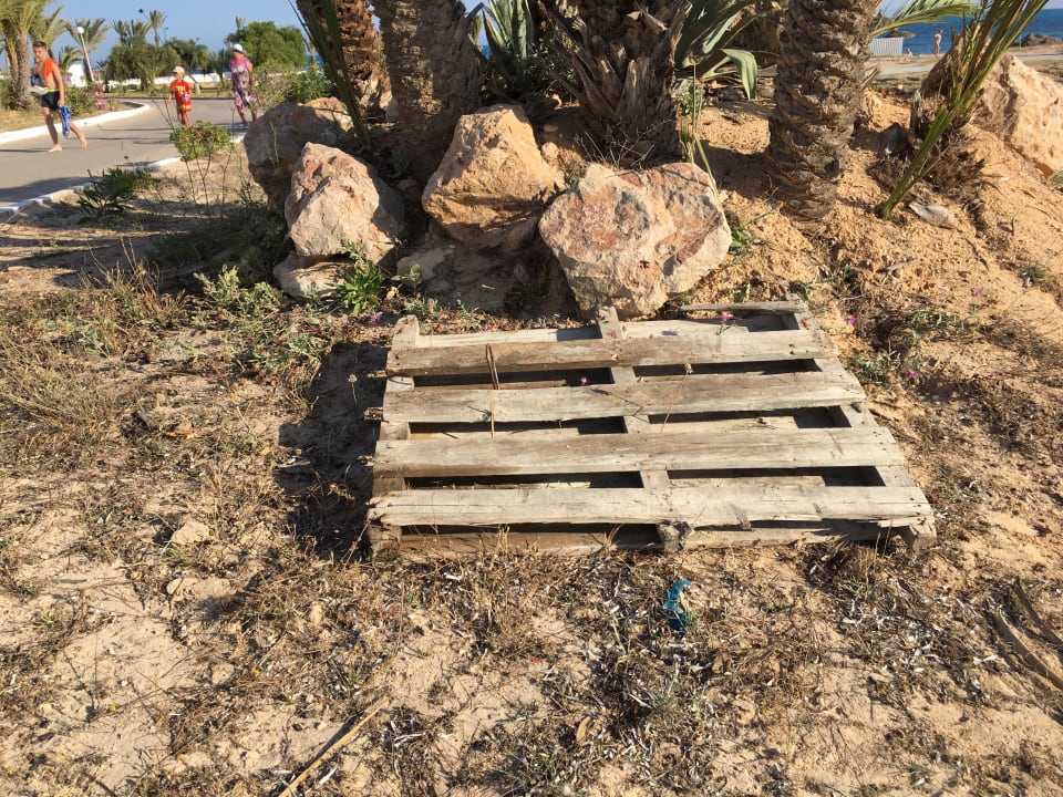 Palette auf dem Seitenweg zum Strand Hotel El Mouradi Djerba Menzel