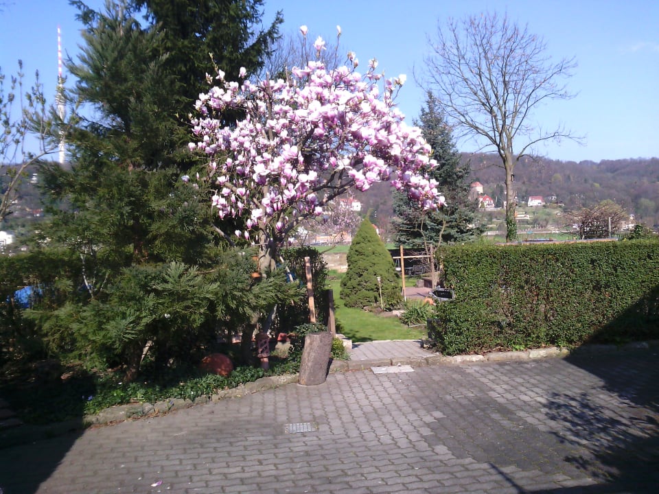 Gartenanlage Alttolkewitzer Ferien- & Privatzimmer