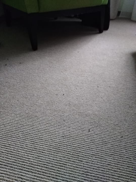 Staubsaugen... Wie in diesem Zimmer leider nicht.  AKTIVHOTEL Weisser Hirsch