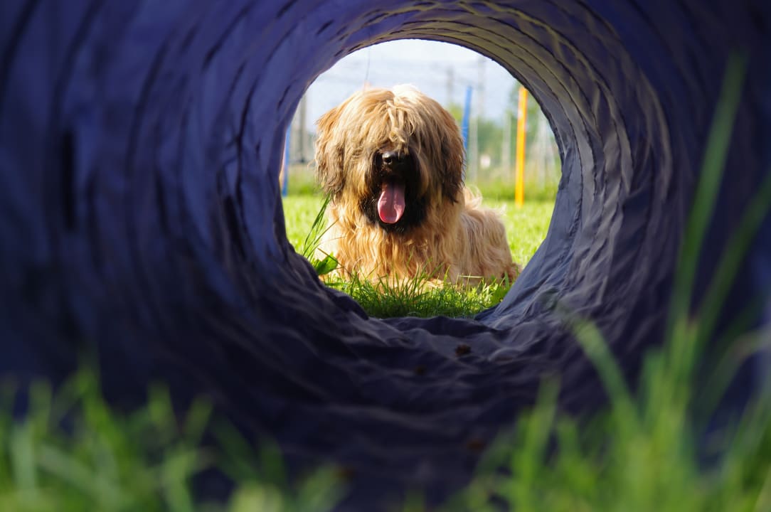 Sonstiges Chaletdorf ZellerSee
