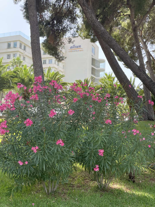 Außenansicht allsun Hotel Bella Paguera