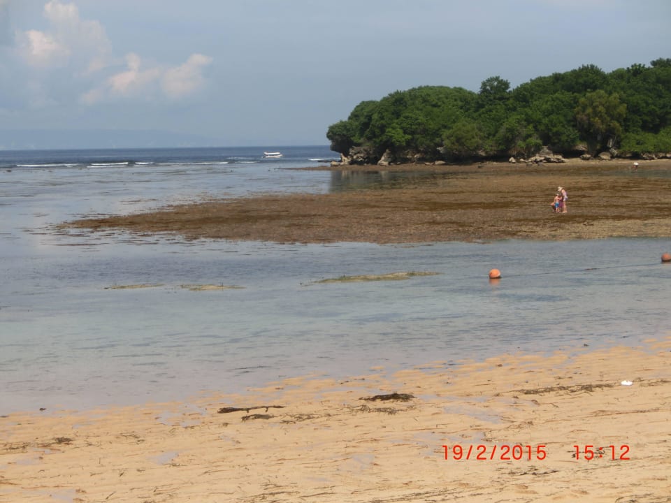 Ebbe The Laguna A Luxury Collection Resort & Spa