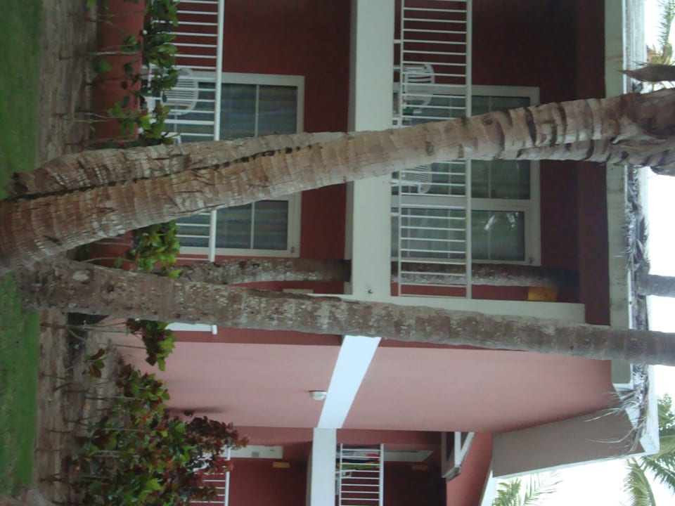 Grand Palladium Bavaro Resort & Spa  Grand Palladium Punta Cana Resort & Spa