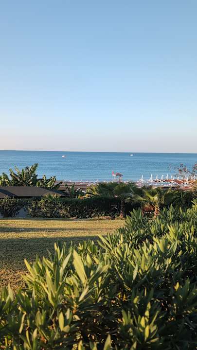 Außenansicht Alba Queen Hotel