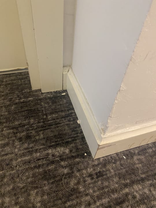 Sonstiges Well Palace Side