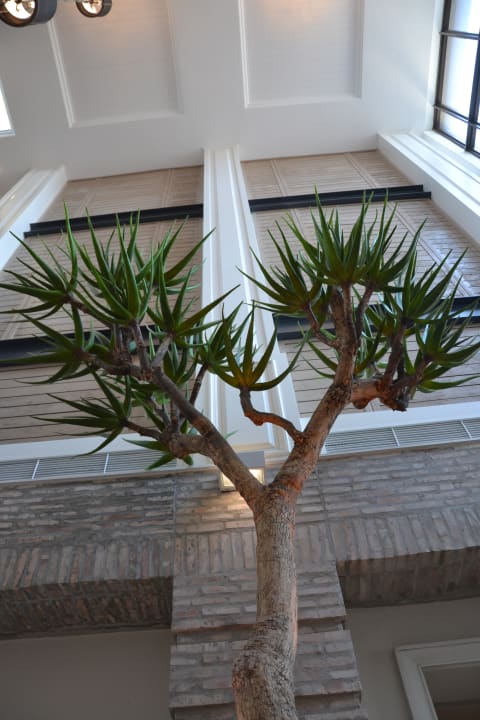 Lobby Strand Hotel Swakopmund