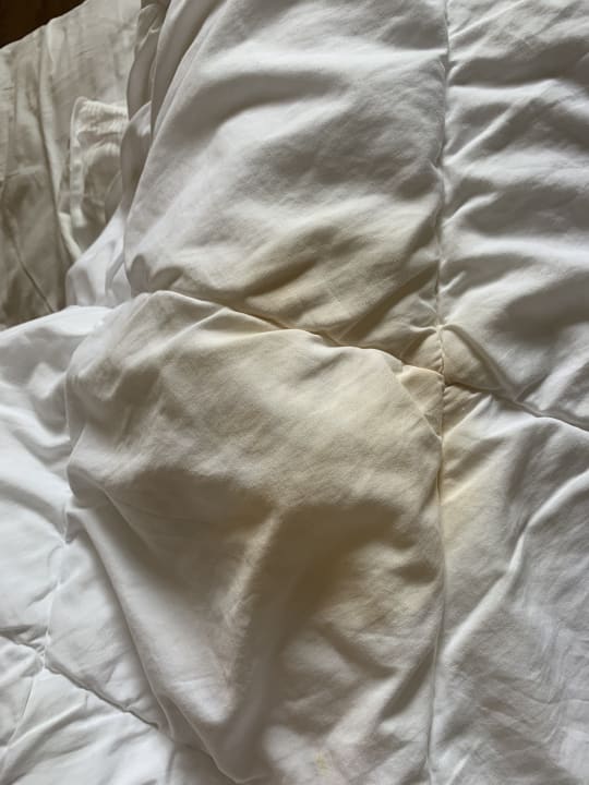 Zimmer Well Palace Side