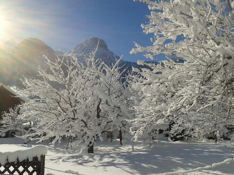 Ausblick von der Ferienwohnung Landhaus Bergidyll