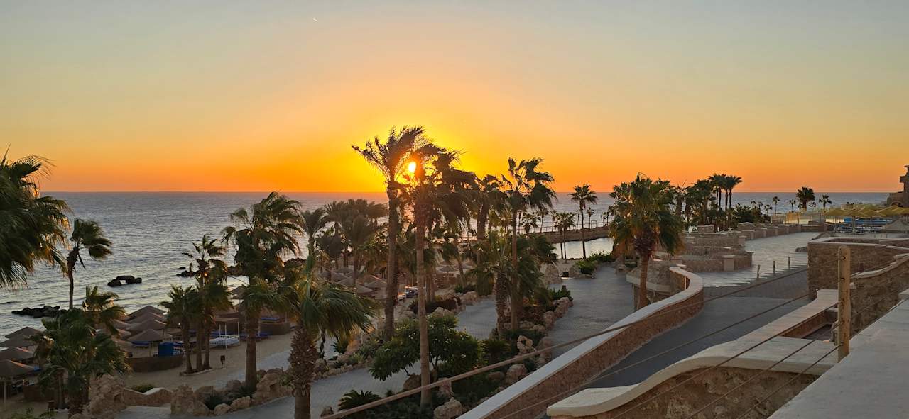 Zimmer Pickalbatros Citadel Resort