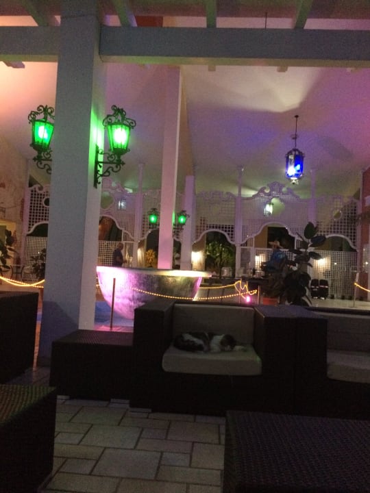 Lobby Hotel Roc Barlovento