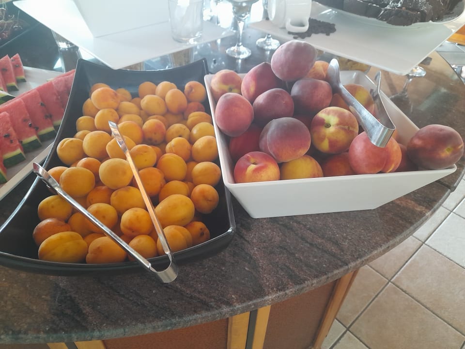 Gastro Hotel Borjana