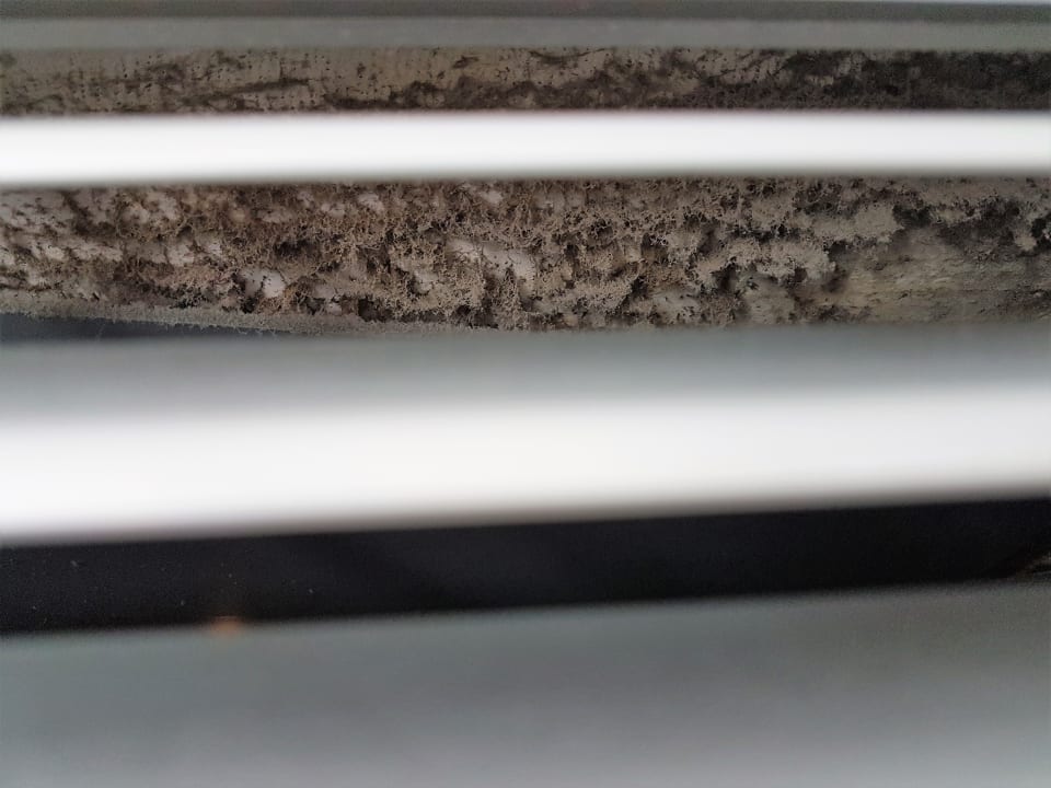 Zimmer THB Gran Bahía