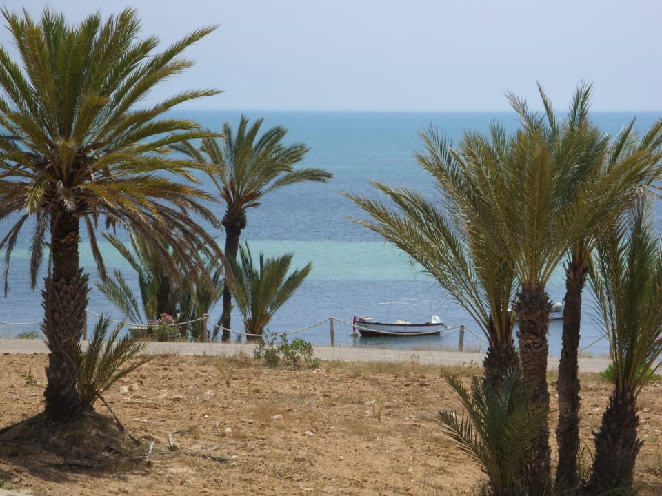Ausblick Bungalow Hotel El Mouradi Djerba Menzel