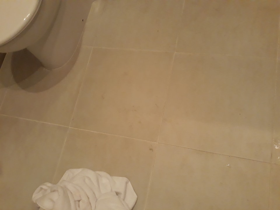 Zimmer Odessos Park Hotel