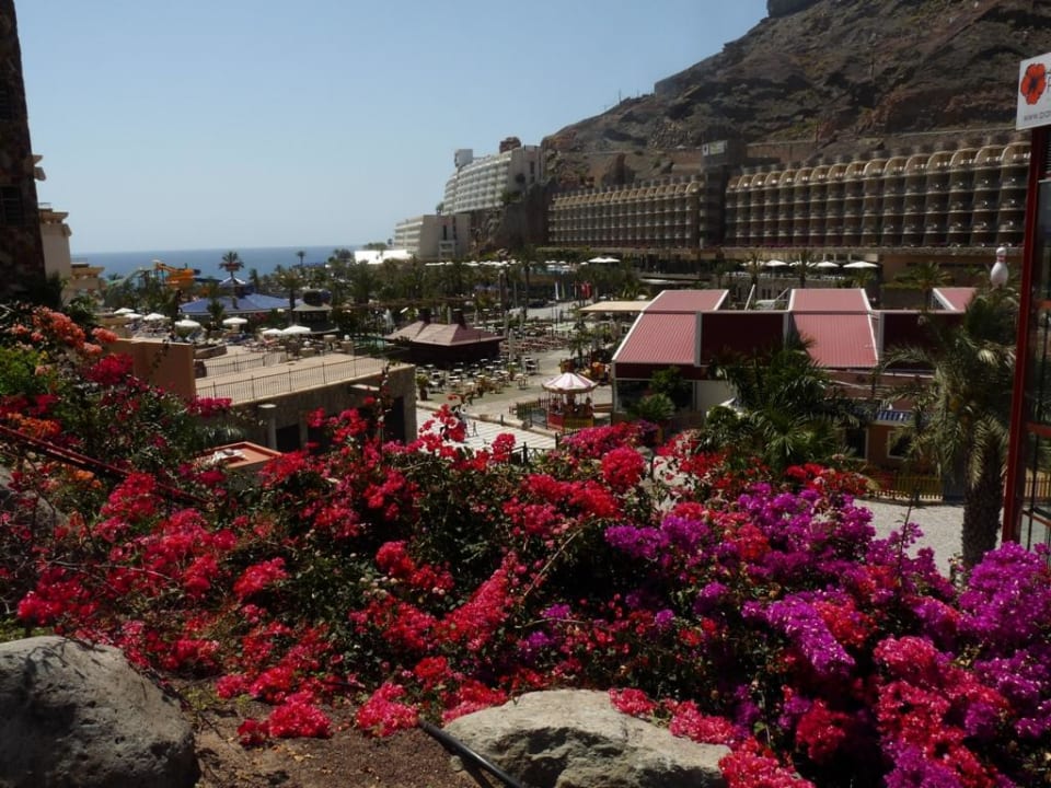 Płyta basenowa LIVVO Costa Taurito