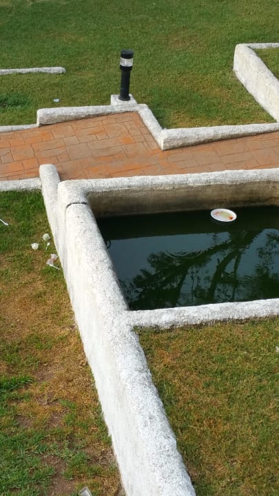 Überall Pappbecher und Plastikbecher Gavimar Cala Gran Costa del Sur