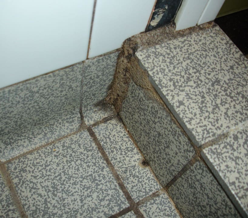 Bodenfliesen Hotel de Oorsprong