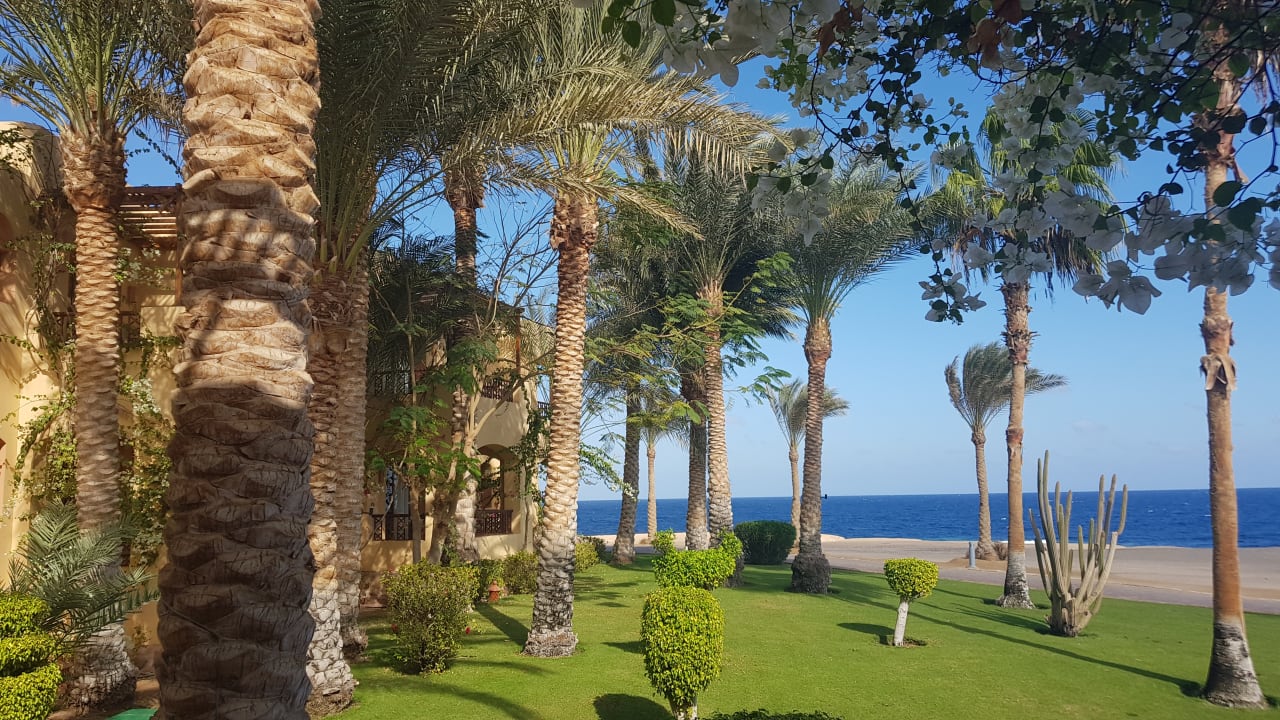 Gartenanlage Steigenberger Coraya Beach - Adults only