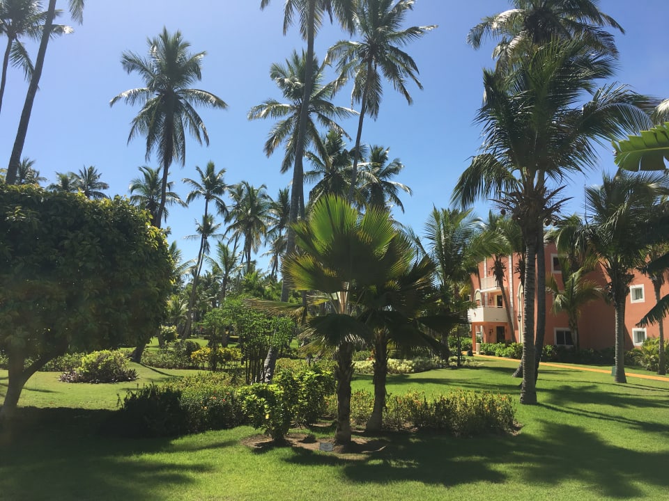 Gartenanlage TRS Turquesa Hotel - Adults only