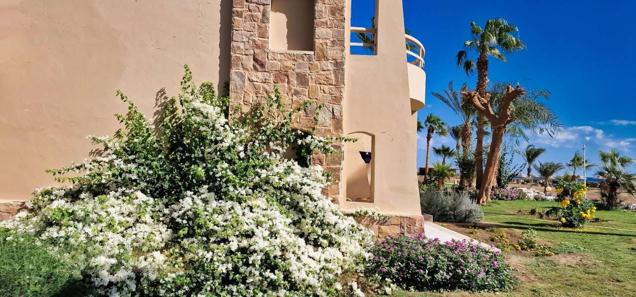 Außenansicht Shams Alam Beach Resort