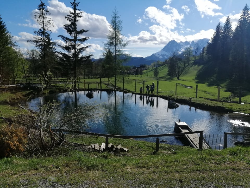 Ausblick Gut Wenghof - Family Resort