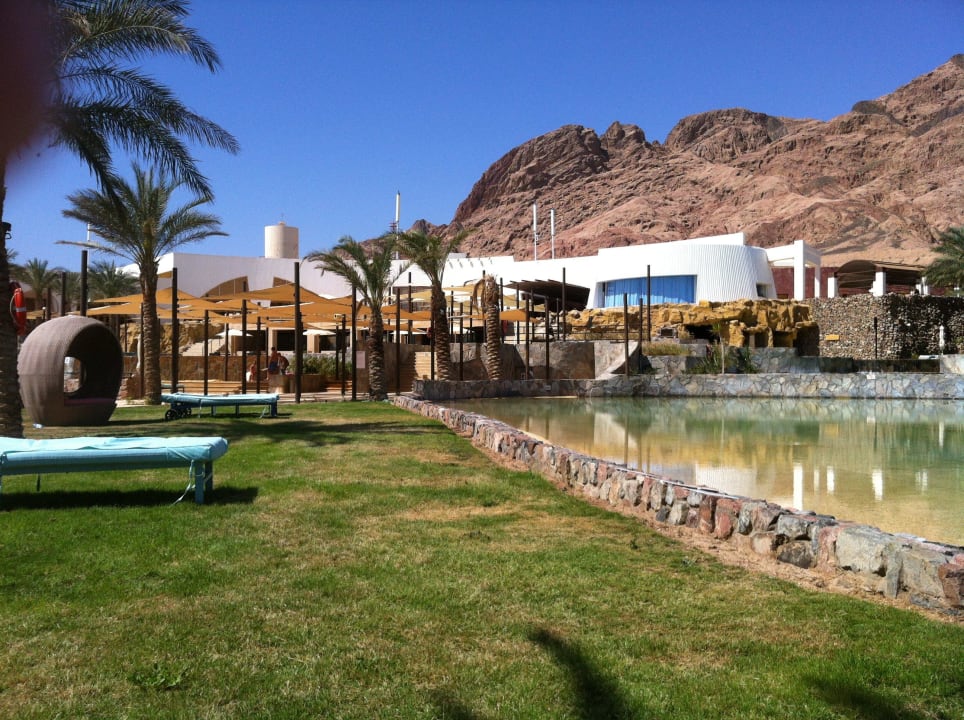 Garten/ Pool Bereich Retac Qunay Dahab Resort and Spa