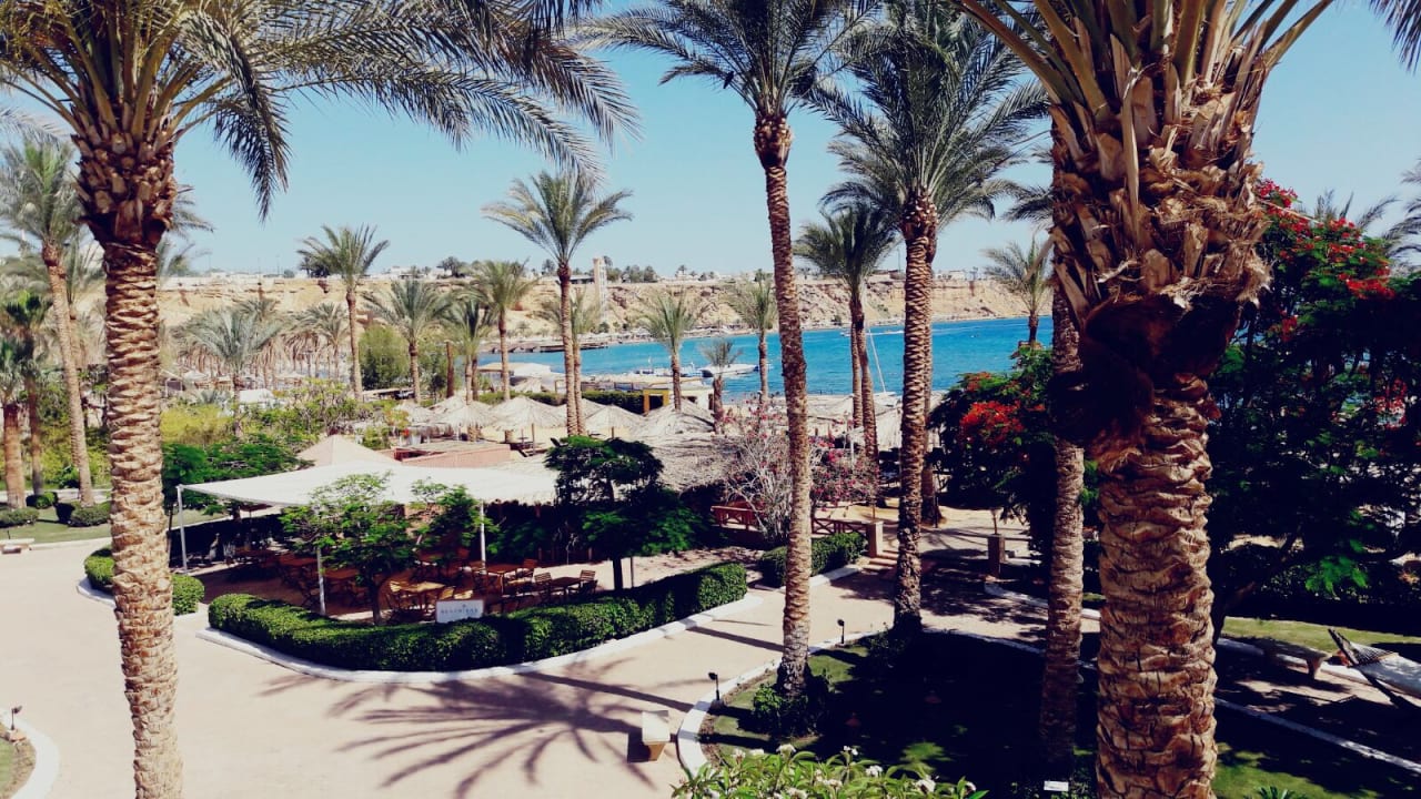 Ausblick Iberotel Palace