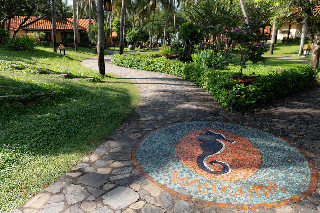 Gartenanlage Seahorse Resort & Spa