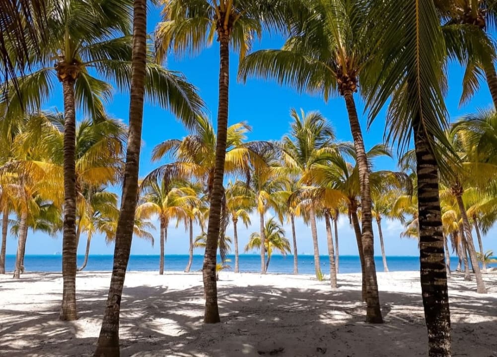Strand Allegro Playacar