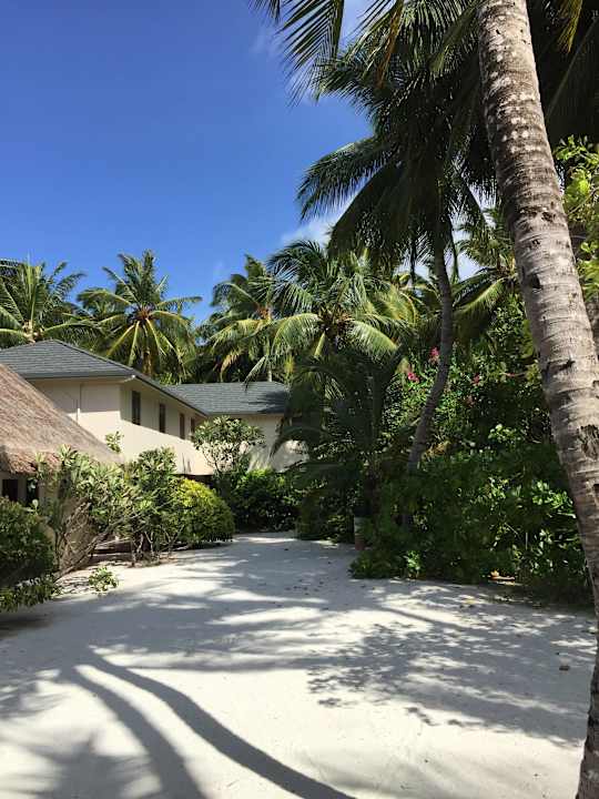 Gartenanlage Summer Island Maldives