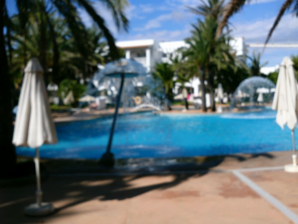 Pool Calimera Fido Gardens