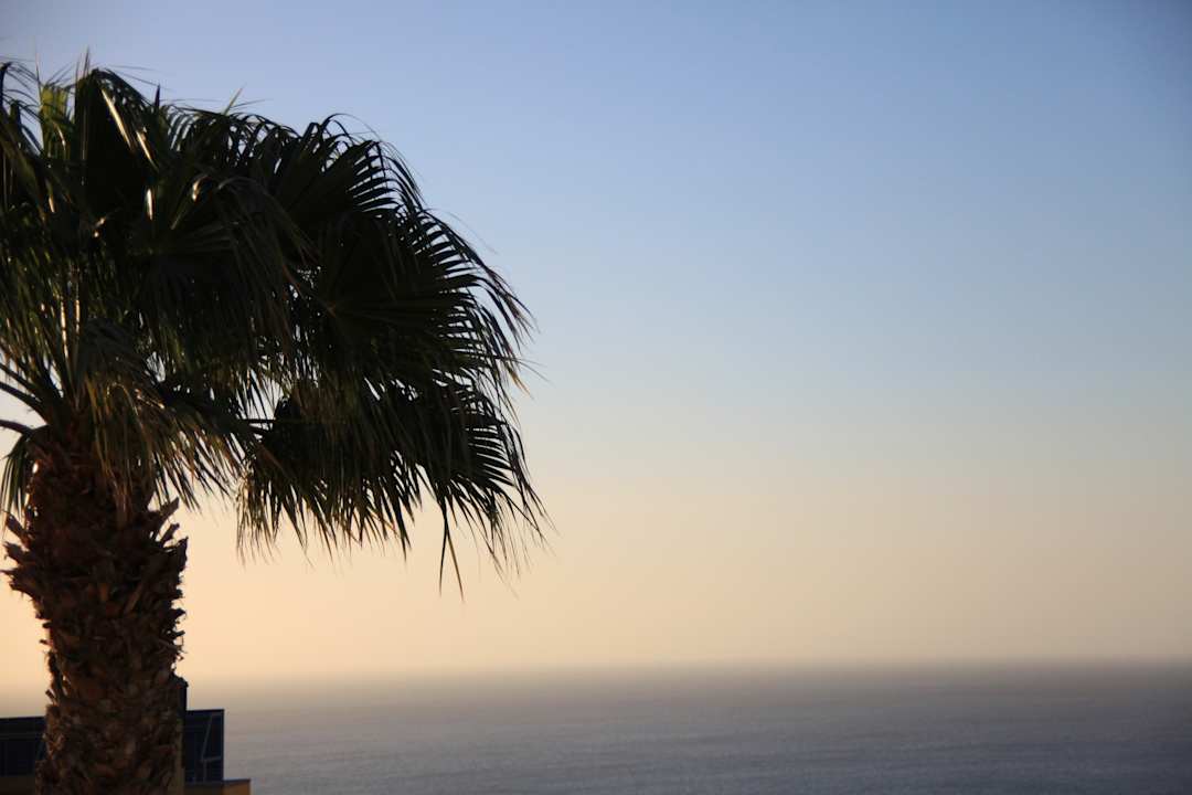 Ausblick Occidental Jandía Mar