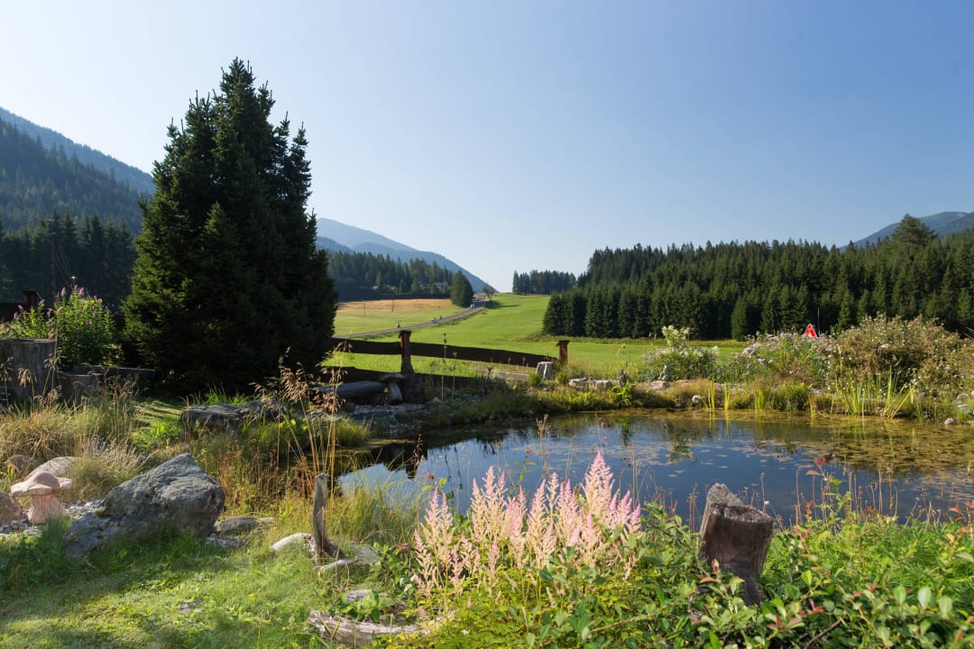 Gartenanlage mit Blick auf den Bruderkogel Gasthof Draxlerhaus