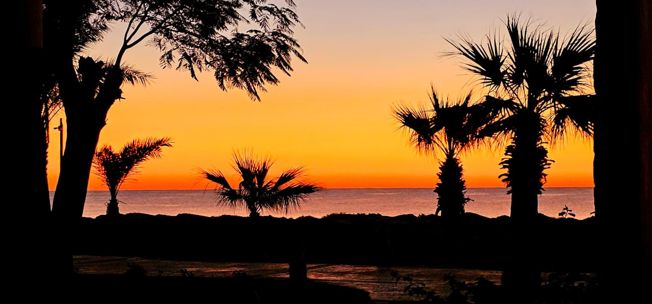 Gartenanlage Shams Alam Beach Resort