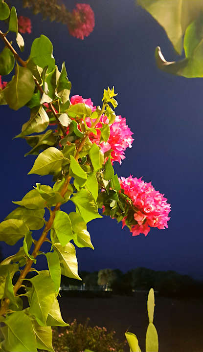 Außenansicht Ekaterini Hotel