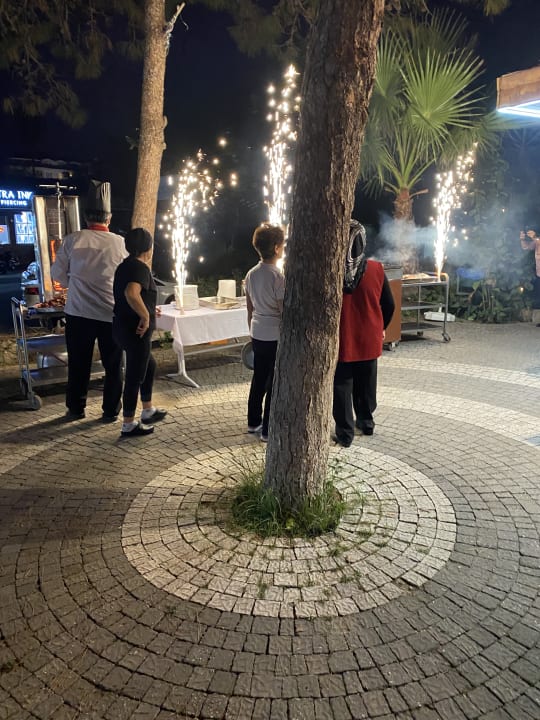 Gastro Clover Magic Nova Beach