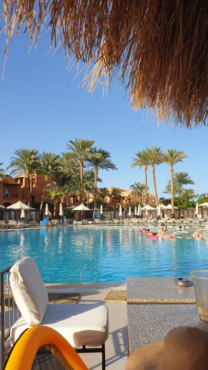 Pool Jaz Makadi Blue - TUI BLUE Makadi - Adults Friendly 16 Years Plus